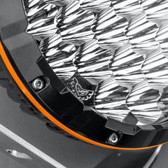 Stedi 8.5" Type-X™ Sport (Pair)